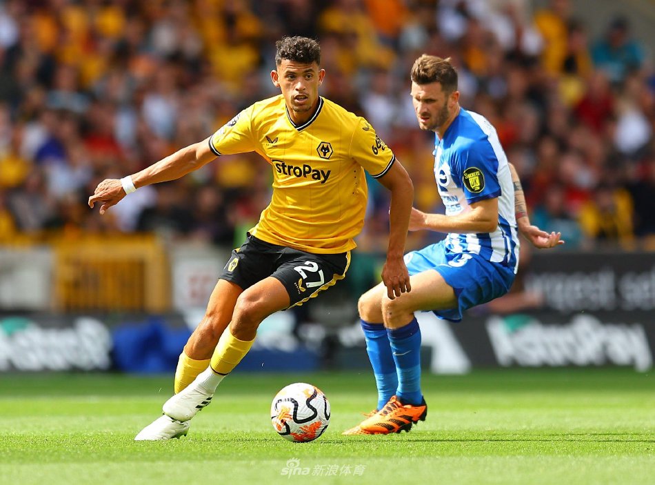 显然他们有 显然他们有